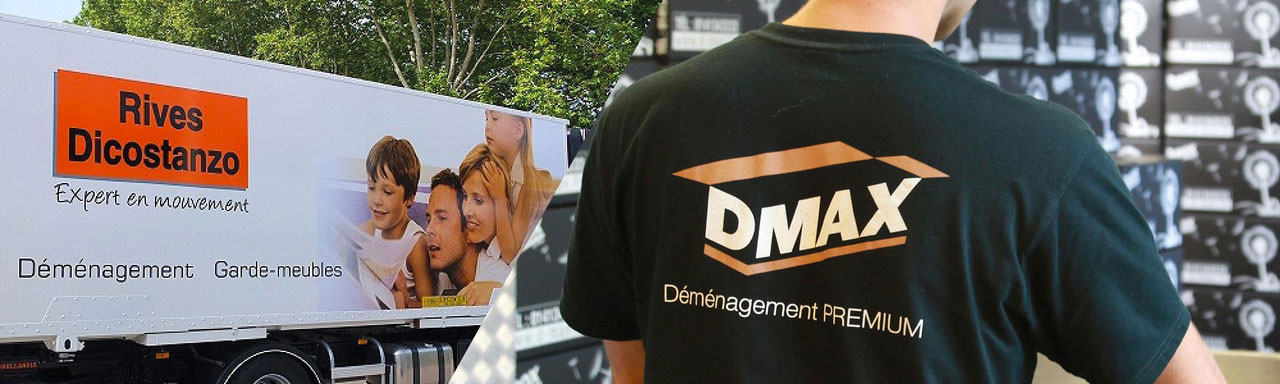 LP - Déménagement Rives Diconstanzo Dmax, entreprise de déménagement d'entreprise et particulier