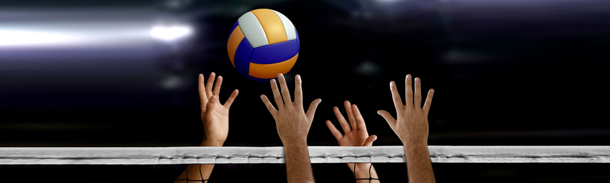 volley-dmax DMAX et le Spacer’s Toulouse Volley… Dmax, entreprise de déménagement d'entreprise et particulier