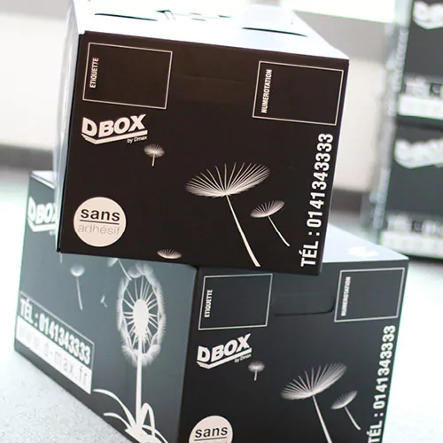 DBOX-DMAX-demengement-particulier Une journée type déménagement de particulier Dmax, entreprise de déménagement d'entreprise et particulier