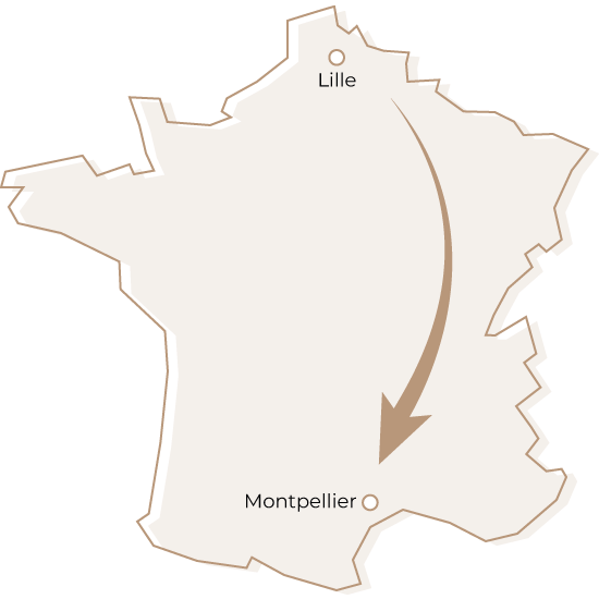 Quitter Lille pour déménager à Montpellier Dmax, entreprise de déménagement d'entreprise et particulier