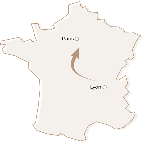 Déménager de Lyon vers Paris Dmax, entreprise de déménagement d'entreprise et particulier