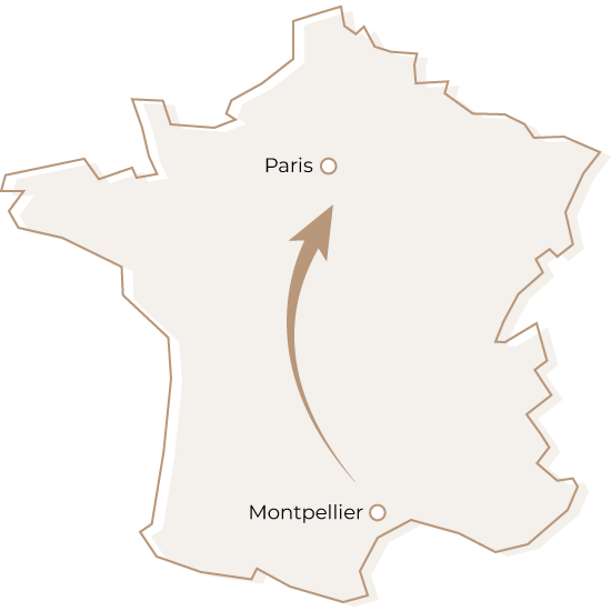 Organiser un déménagement de Montpellier vers Paris Dmax, entreprise de déménagement d'entreprise et particulier