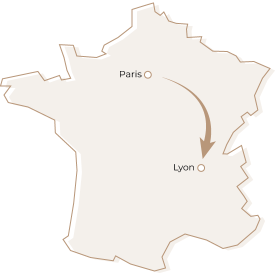 Devis déménagement de Paris vers Lyon ? Dmax, entreprise de déménagement d'entreprise et particulier